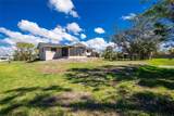 8159 Archie Street - Photo 31
