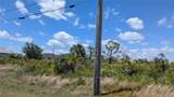 13474 Abutilon Lane - Photo 4