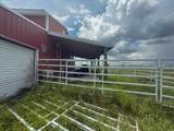 2410 Wilkins Road - Photo 52