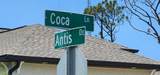 133 Coca Lane - Photo 3