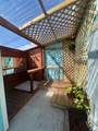 324 Calle Liana - Photo 7