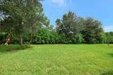 11662 Parrotfish Street - Photo 53
