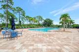 11662 Parrotfish Street - Photo 68