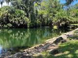 308 Palm Coast Parkway - Photo 22