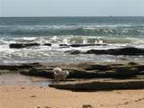 7 Beach Haven Parkway - Photo 92