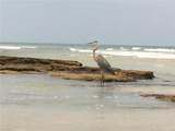 7 Beach Haven Parkway - Photo 95