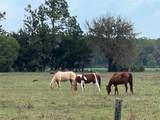 380 County Road 90 - Photo 53