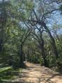 68 Los Lagos Boulevard - Photo 68