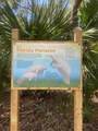 68 Los Lagos Boulevard - Photo 70