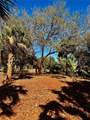 3668 John Anderson Dr - Photo 20