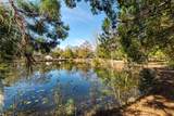 11053 Mulberry Landing Annex - Photo 86