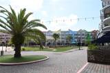 101 Palm Harbor Parkway - Photo 1