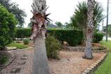 85 Lancelot Drive - Photo 41