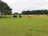 1401 State Road 44 - Photo 14