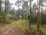 TBD Otter Drive - Photo 4