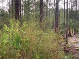 TBD Otter Drive - Photo 5