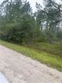 TBD Otter Drive - Photo 6