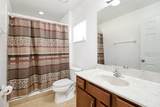 436 Orange Cosmos Blvd - Photo 30