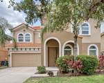 436 Orange Cosmos Blvd - Photo 4