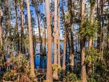 9832 Florida Boys Ranch Rd - Photo 49