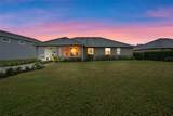 34932 Golden Tree Drive - Photo 32