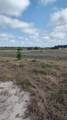 38401 Wooded Meadow Drive - Photo 10