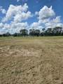 38401 Wooded Meadow Drive - Photo 2