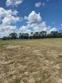 38401 Wooded Meadow Drive - Photo 4