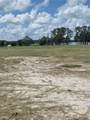 38401 Wooded Meadow Drive - Photo 6