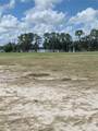 38401 Wooded Meadow Drive - Photo 7