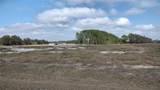38401 Wooded Meadow Drive - Photo 9
