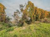 3339 Landing View - Photo 24