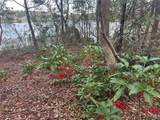  Lake Hiawatha Drive - Photo 3