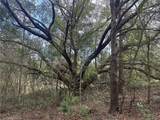  Lake Hiawatha Drive - Photo 4