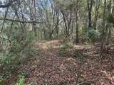 Lake Hiawatha Drive - Photo 7