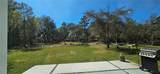 42329 Chinaberry Street - Photo 8