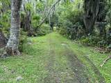 6001 Bird Island Drive - Photo 31