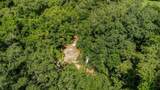 37215 Rolling Acres Road - Photo 9