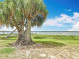 33620 Picciola Drive - Photo 41