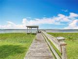 33620 Picciola Drive - Photo 42