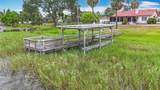 33620 Picciola Drive - Photo 48