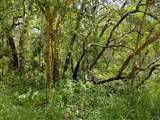  Dogwood Way - Photo 4