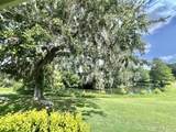 105 Avocado Cove - Photo 14