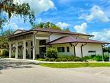 3607 Umbrella Tree Lane - Photo 29