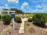 3607 Umbrella Tree Lane - Photo 34