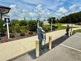 3607 Umbrella Tree Lane - Photo 38
