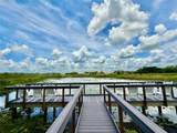 3607 Umbrella Tree Lane - Photo 40