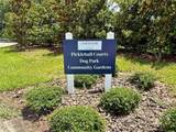 3607 Umbrella Tree Lane - Photo 45