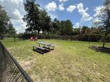 3607 Umbrella Tree Lane - Photo 48