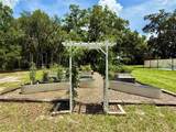 3607 Umbrella Tree Lane - Photo 49